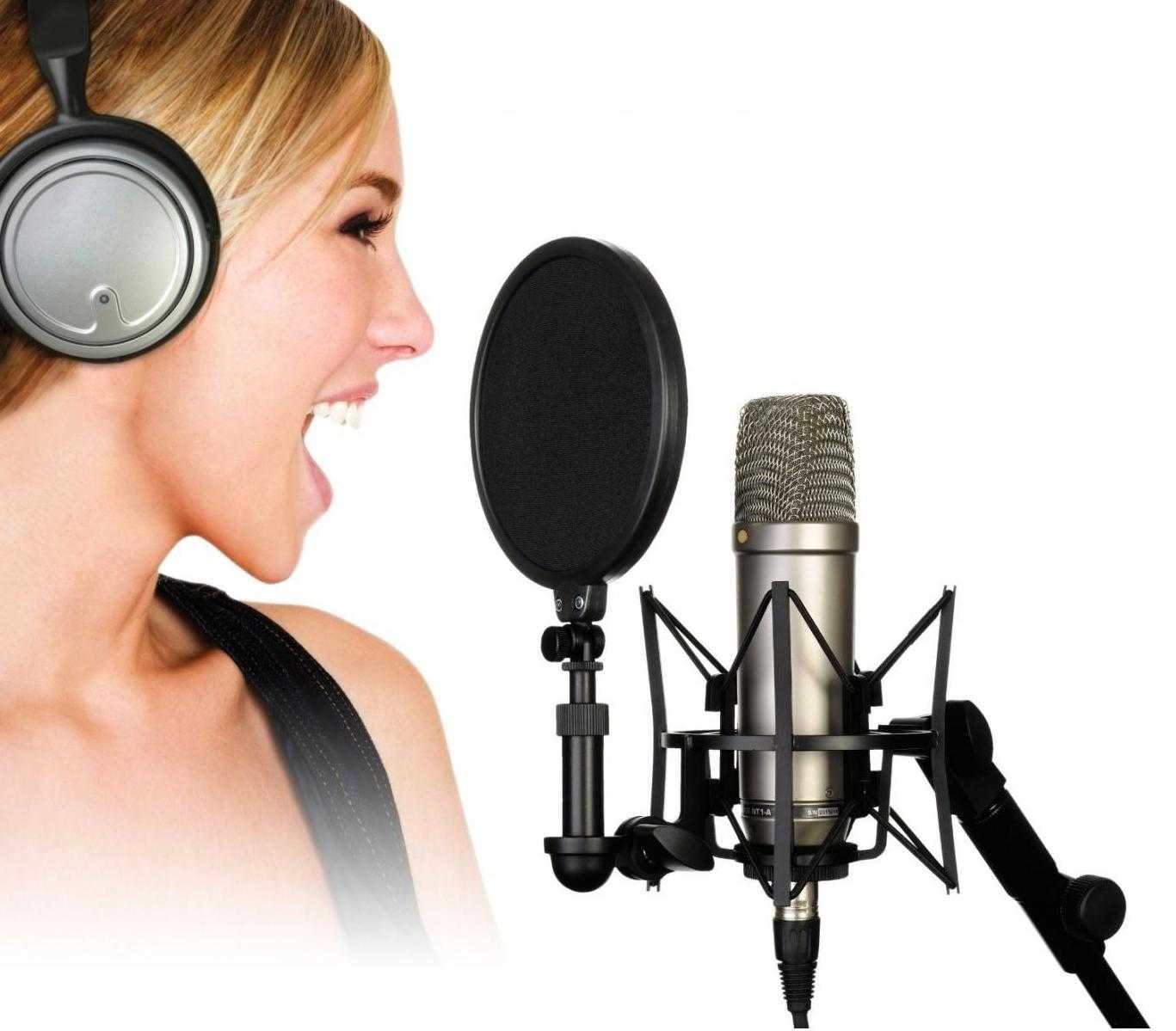Какой микрофон караоке лучше: как правильно выбрать микрофон?