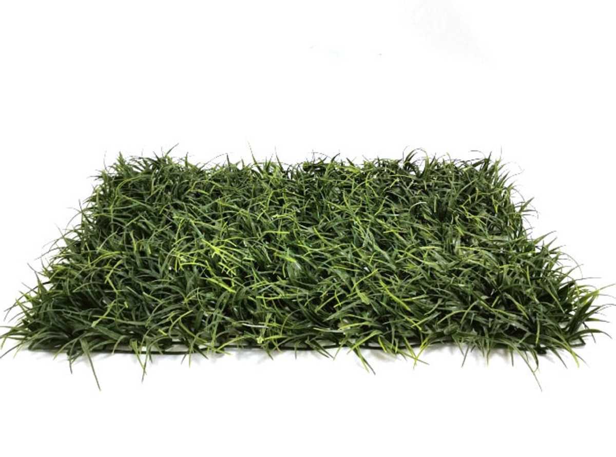 Газонная трава: какую смесь купить, многолетние, низкорослые и другие сорта