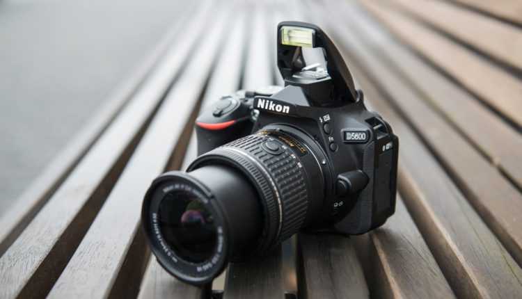 15 лучших фотоаппаратов для начинающих фотографов – рейтинг 2020