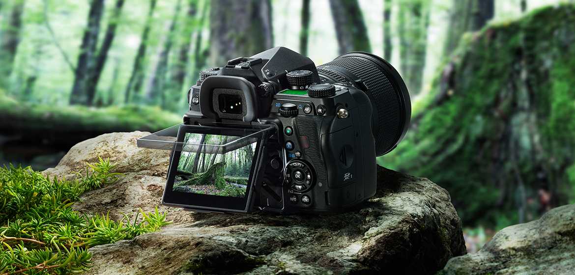 Лучший любительский фотоаппарат 2020 года: критерии выбора и главные отличия