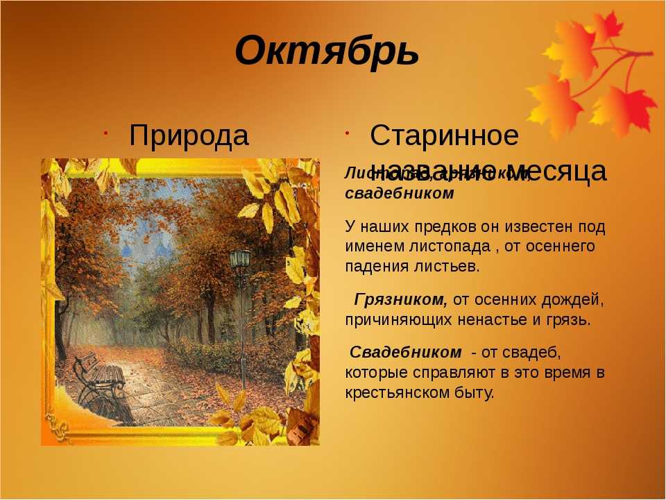 Что показала amazon на осенней презентации