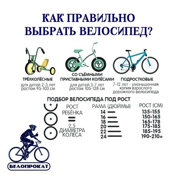 По каким параметрам выбрать велосипед новичку?